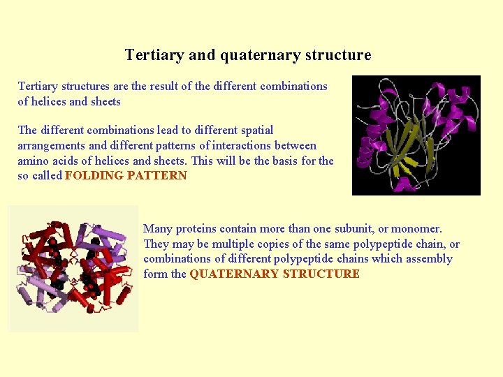 Tertiary and quaternary structure Tertiary structures are the result of the different combinations of