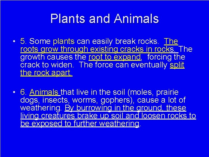 Plants and Animals • 5. Some plants can easily break rocks. The roots grow