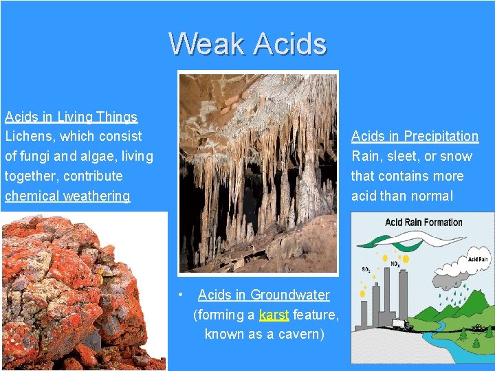 Weak Acids in Living Things Lichens, which consist of fungi and algae, living together,