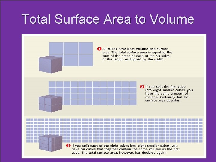 Total Surface Area to Volume 