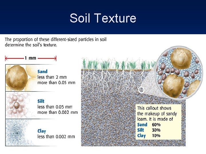 Soil Texture 