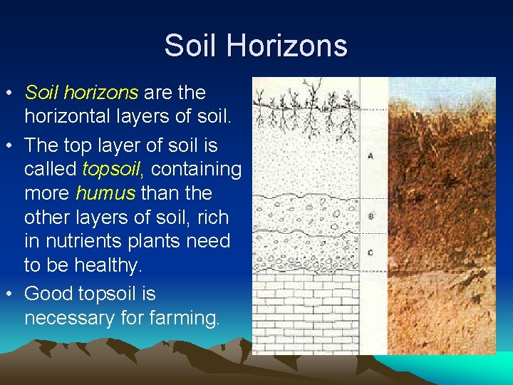 Soil Horizons • Soil horizons are the horizontal layers of soil. • The top