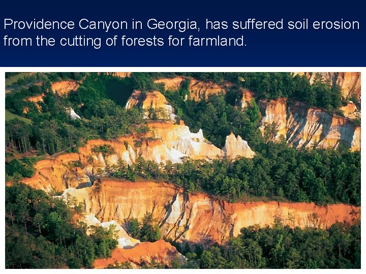 Providence Canyon in Georgia, has suffered soil erosion from the cutting of forests for