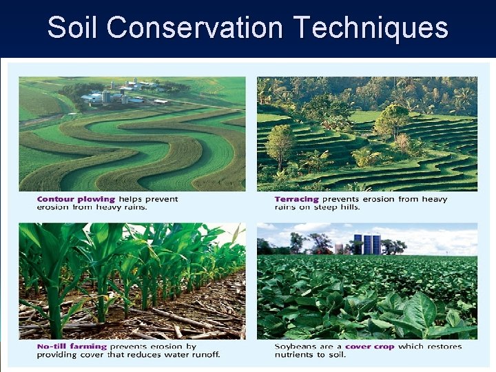 Soil Conservation Techniques 