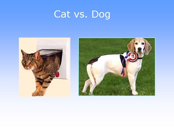 Cat vs. Dog 