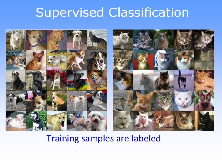 Supervised Classification Training samples are labeled 