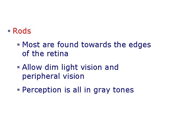 Neurons of the Retina and Vision § Rods § Most are found towards the