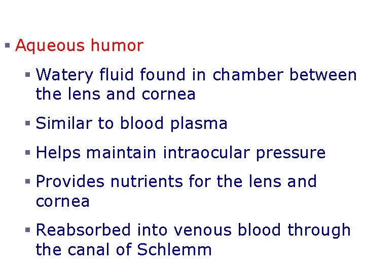 Internal Eye Chamber Fluids § Aqueous humor § Watery fluid found in chamber between