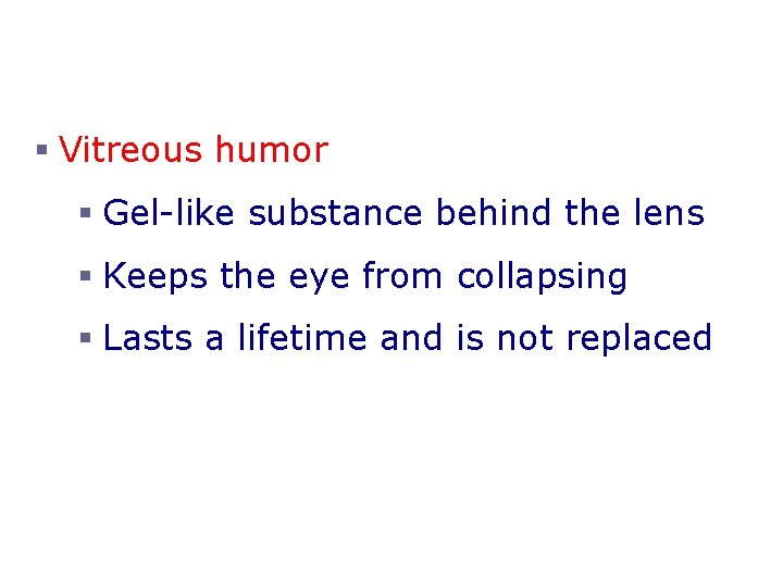 § Vitreous humor § Gel-like substance behind the lens § Keeps the eye from