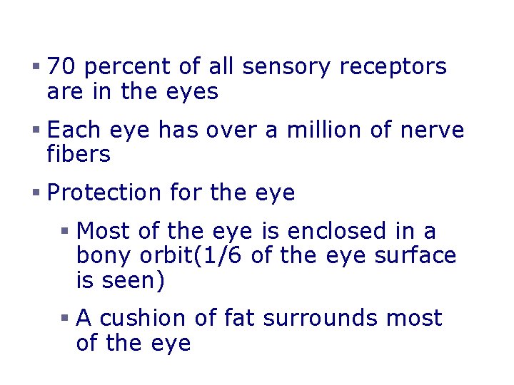 The Eye and Vision § 70 percent of all sensory receptors are in the