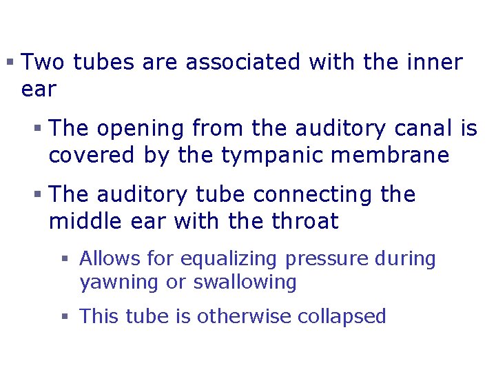 The Middle Ear or Tympanic Cavity § Two tubes are associated with the inner