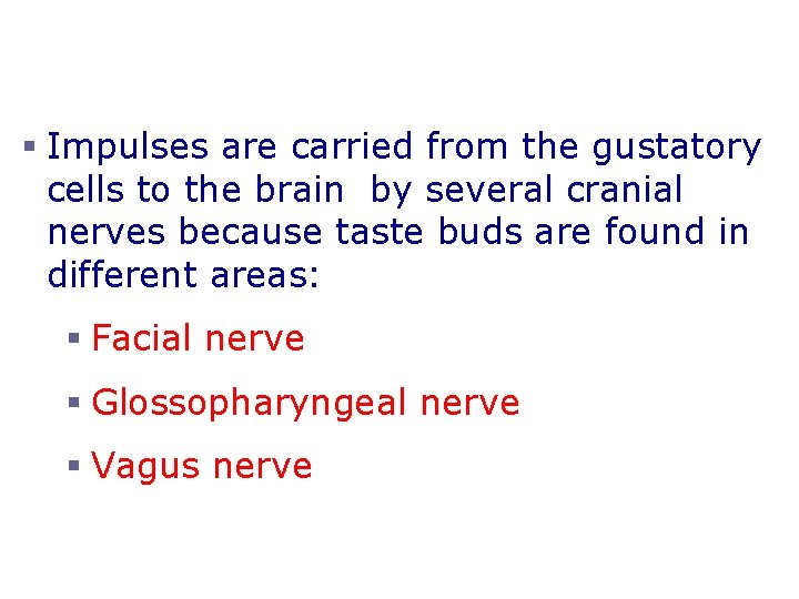 Structure of Taste Buds § Impulses are carried from the gustatory cells to the