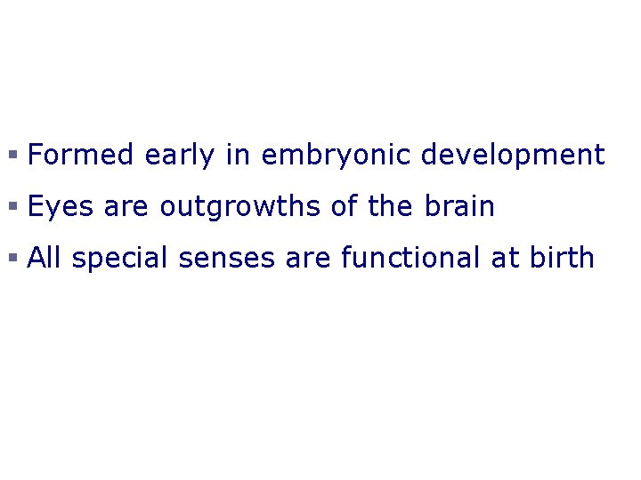 Developmental Aspects of the Special Senses § Formed early in embryonic development § Eyes