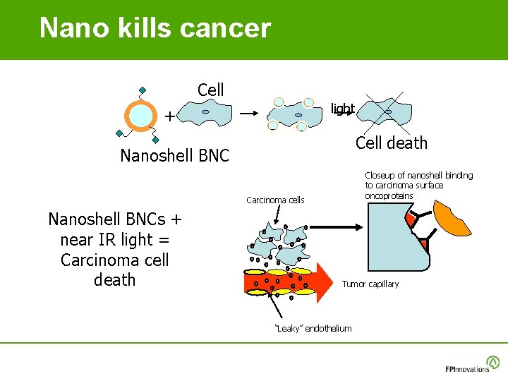 Nano kills cancer Cell light + Cell death Nanoshell BNC Closeup of nanoshell binding Nano kills cancer Cell light + Cell death Nanoshell BNC Closeup of nanoshell binding
