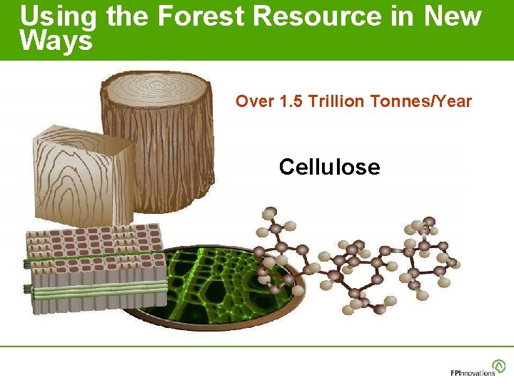 Using the Forest Resource in New Ways Over 1. 5 Trillion Tonnes/Year Cellulose Using the Forest Resource in New Ways Over 1. 5 Trillion Tonnes/Year Cellulose