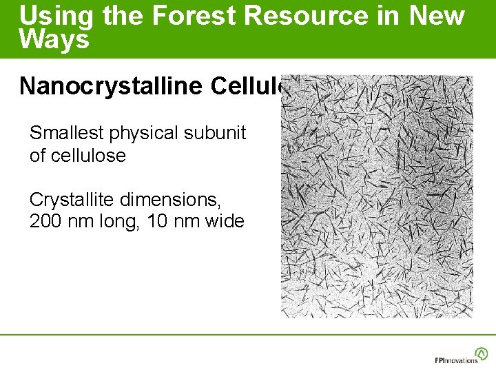 Using the Forest Resource in New Ways Nanocrystalline Cellulose Smallest physical subunit of cellulose Using the Forest Resource in New Ways Nanocrystalline Cellulose Smallest physical subunit of cellulose
