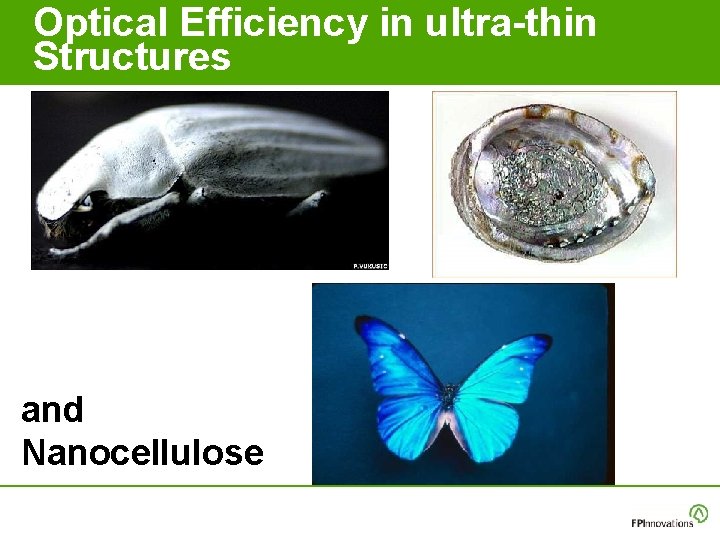 Optical Efficiency in ultra-thin Structures and Nanocellulose Optical Efficiency in ultra-thin Structures and Nanocellulose