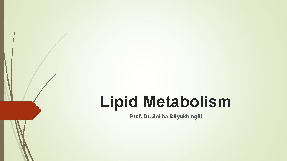 Lipid Metabolism Prof. Dr. Zeliha Büyükbingöl 