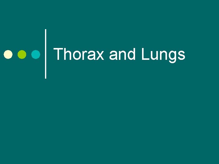Thorax and Lungs 
