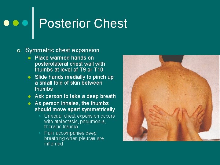 Posterior Chest ¢ Symmetric chest expansion l l Place warmed hands on posterolateral chest
