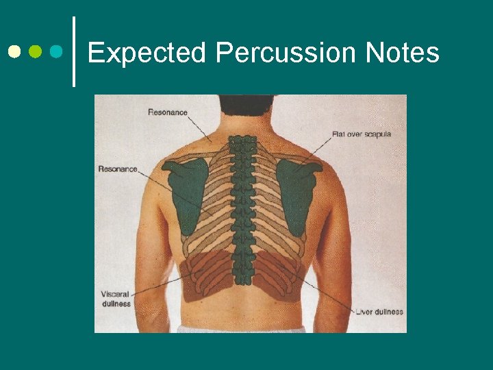 Expected Percussion Notes 