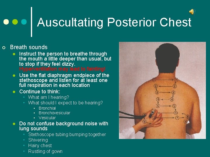 Auscultating Posterior Chest ¢ Breath sounds l l l Instruct the person to breathe