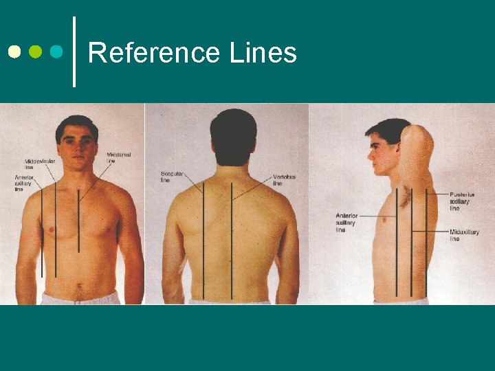 Reference Lines 
