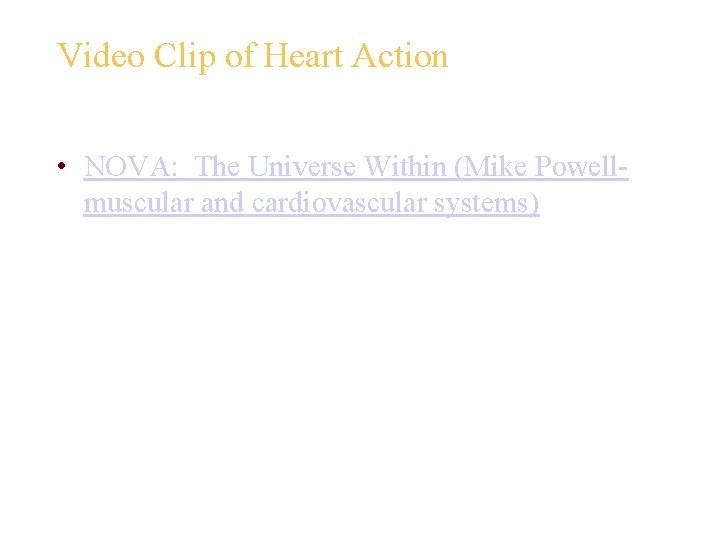 Video Clip of Heart Action • NOVA: The Universe Within (Mike Powellmuscular and cardiovascular