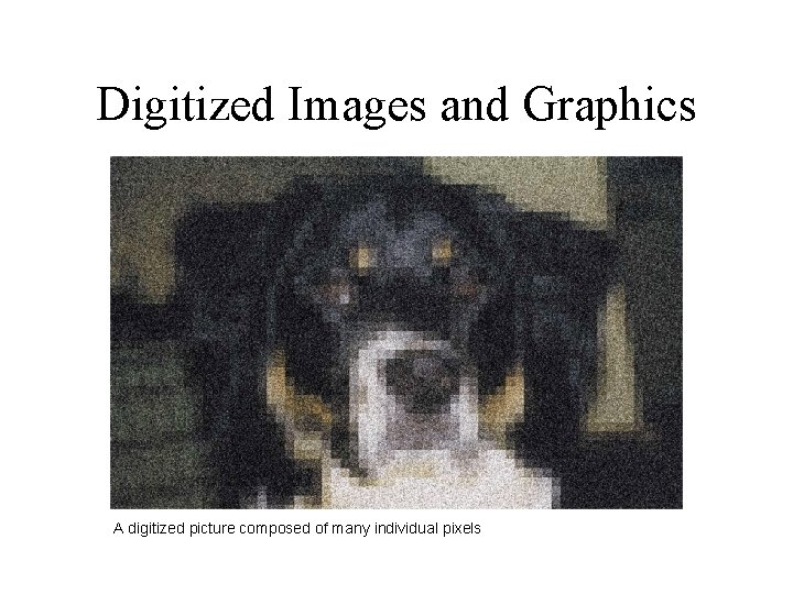 Digitized Images and Graphics A digitized picture composed of many individual pixels 