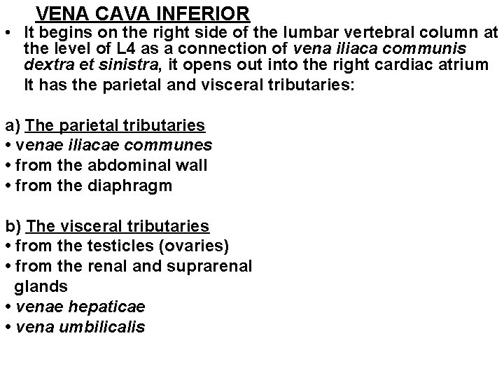 VENA CAVA INFERIOR • It begins on the right side of the lumbar vertebral VENA CAVA INFERIOR • It begins on the right side of the lumbar vertebral