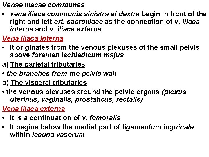 Venae iliacae communes • vena iliaca communis sinistra et dextra begin in front of Venae iliacae communes • vena iliaca communis sinistra et dextra begin in front of