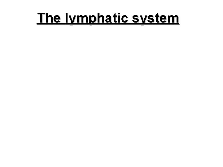 The lymphatic system The lymphatic system