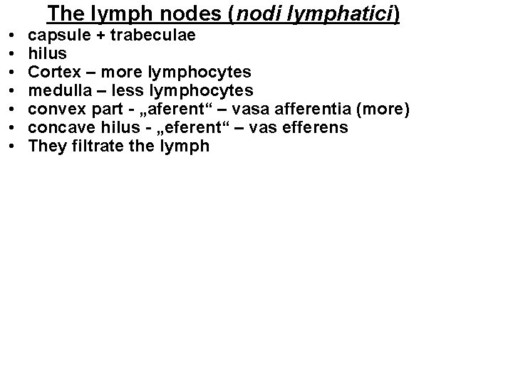 • • The lymph nodes (nodi lymphatici) capsule + trabeculae hilus Cortex – • • The lymph nodes (nodi lymphatici) capsule + trabeculae hilus Cortex –