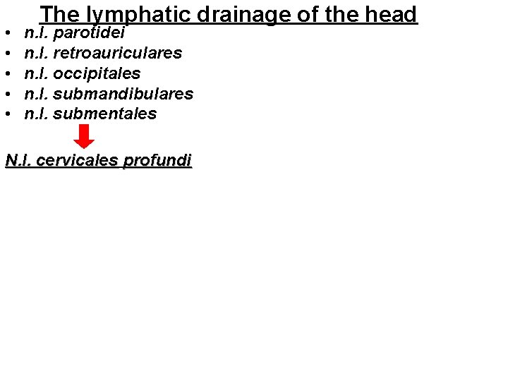 • • • The lymphatic drainage of the head n. l. parotidei n. • • • The lymphatic drainage of the head n. l. parotidei n.