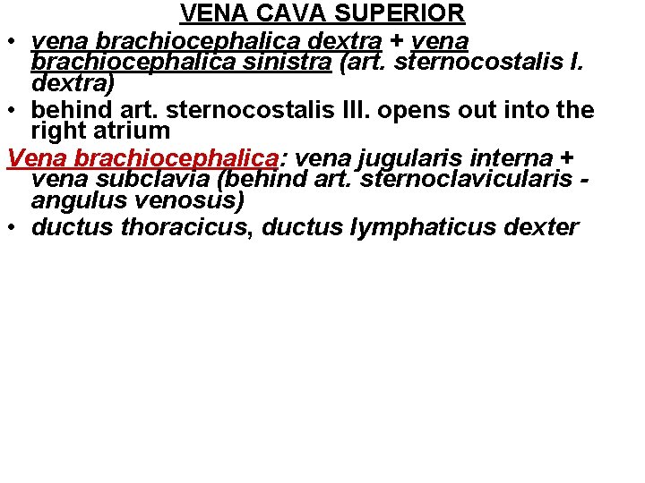 VENA CAVA SUPERIOR • vena brachiocephalica dextra + vena brachiocephalica sinistra (art. sternocostalis I. VENA CAVA SUPERIOR • vena brachiocephalica dextra + vena brachiocephalica sinistra (art. sternocostalis I.