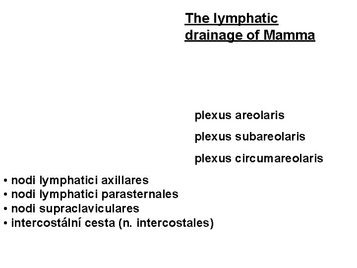 The lymphatic drainage of Mamma plexus areolaris plexus subareolaris plexus circumareolaris • nodi lymphatici The lymphatic drainage of Mamma plexus areolaris plexus subareolaris plexus circumareolaris • nodi lymphatici
