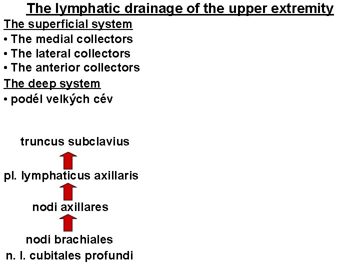 The lymphatic drainage of the upper extremity The superficial system • The medial collectors The lymphatic drainage of the upper extremity The superficial system • The medial collectors