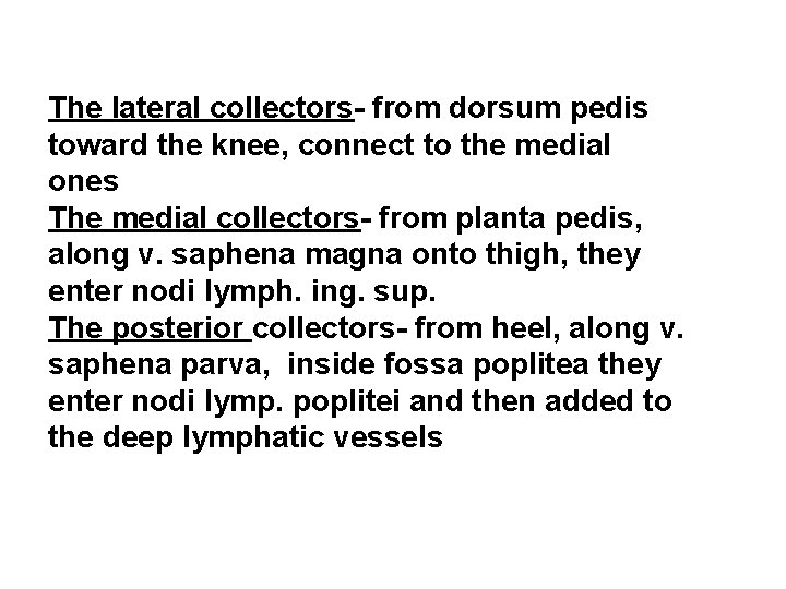 The lateral collectors- from dorsum pedis toward the knee, connect to the medial ones The lateral collectors- from dorsum pedis toward the knee, connect to the medial ones