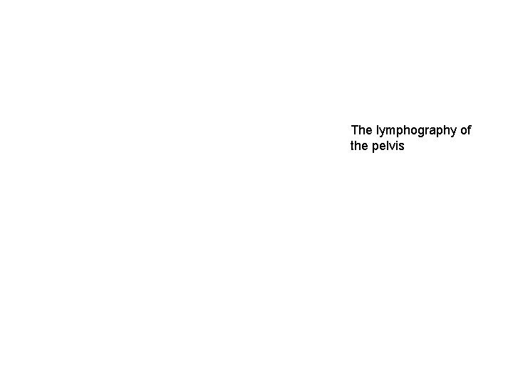 The lymphography of the pelvis The lymphography of the pelvis