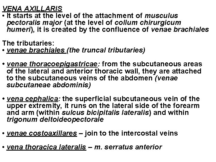VENA AXILLARIS • It starts at the level of the attachment of musculus pectoralis VENA AXILLARIS • It starts at the level of the attachment of musculus pectoralis