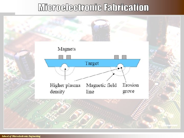 School of Microelectronic Engineering 