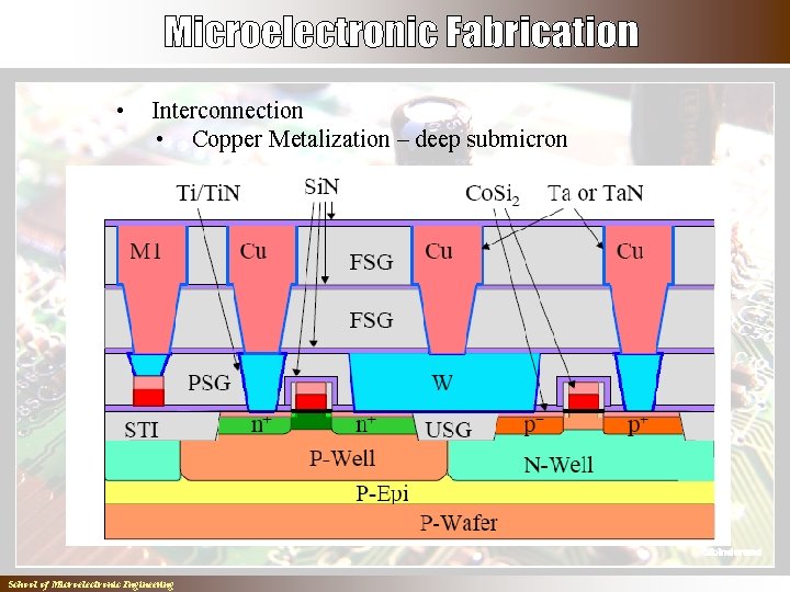  • Interconnection • Copper Metalization – deep submicron School of Microelectronic Engineering 