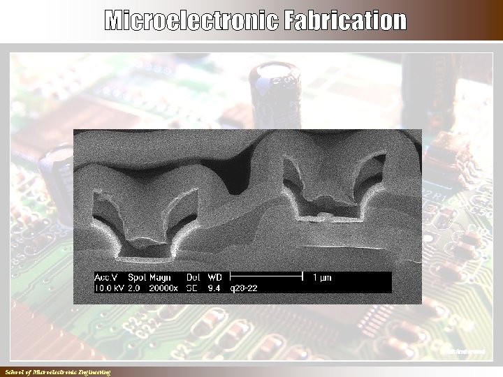 School of Microelectronic Engineering 