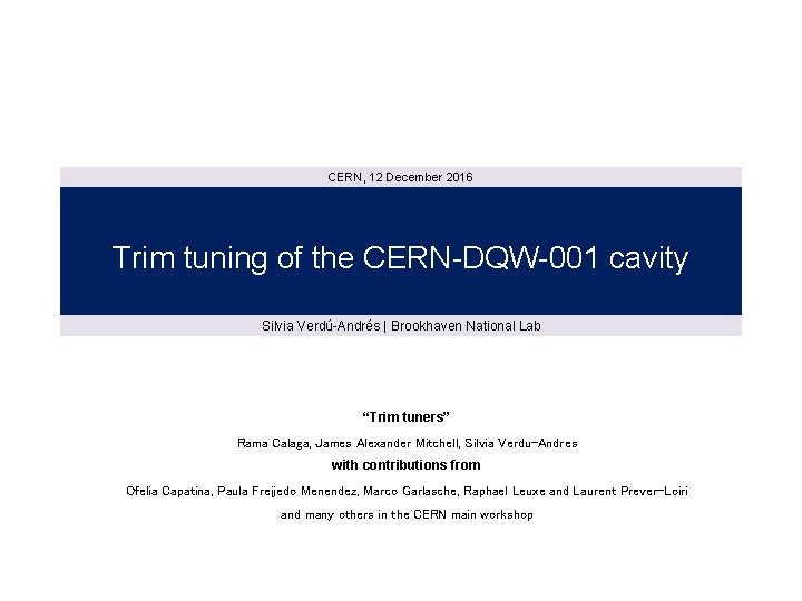 CERN, 12 December 2016 Trim tuning of the CERN-DQW-001 cavity Silvia Verdú-Andrés | Brookhaven