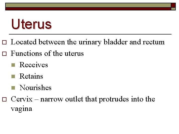 Uterus o o o Located between the urinary bladder and rectum Functions of the