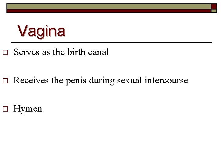 Vagina o Serves as the birth canal o Receives the penis during sexual intercourse