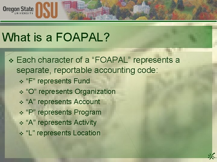 What is a FOAPAL? v Each character of a “FOAPAL” represents a separate, reportable