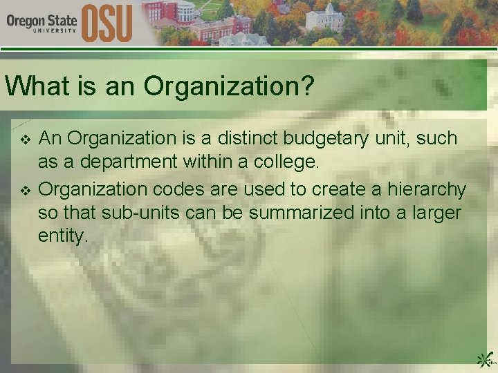 What is an Organization? v v An Organization is a distinct budgetary unit, such