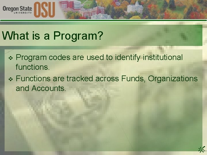 What is a Program? v v Program codes are used to identify institutional functions.