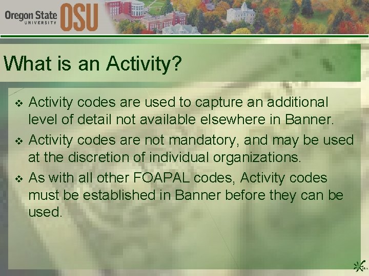 What is an Activity? v v v Activity codes are used to capture an
